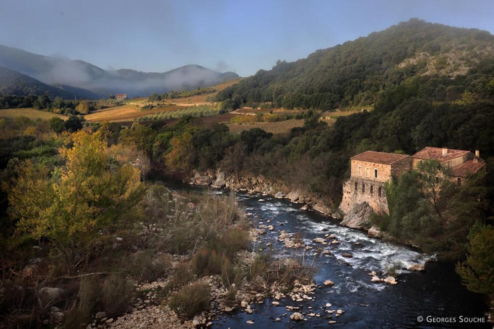 Vila Les Violettes Mons  Exteriér fotografie