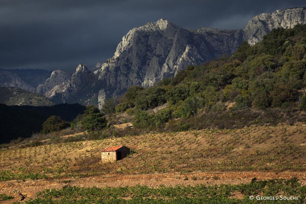Vila Les Violettes Mons  Exteriér fotografie